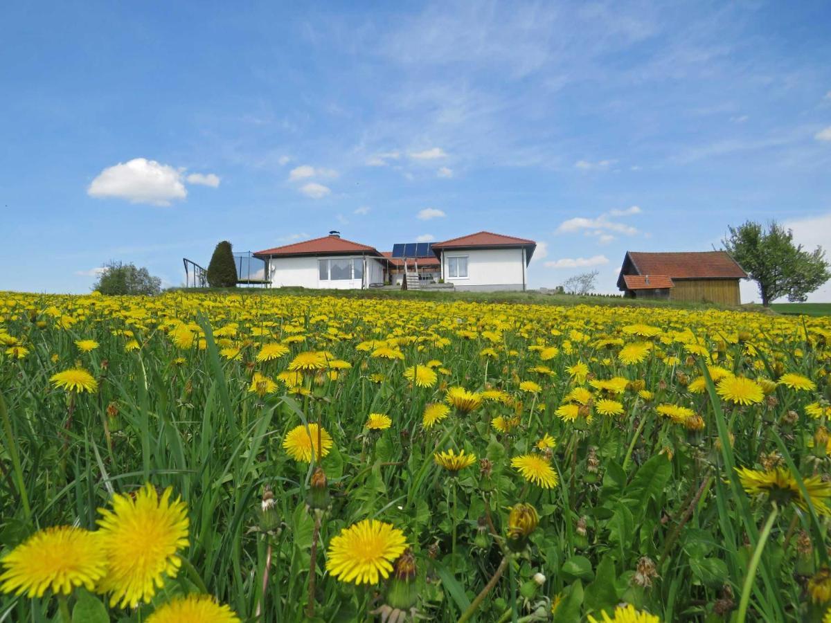 Traumferienhaus Xxl Ortner Wetzendorf Exteriör bild